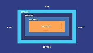 1 box-model