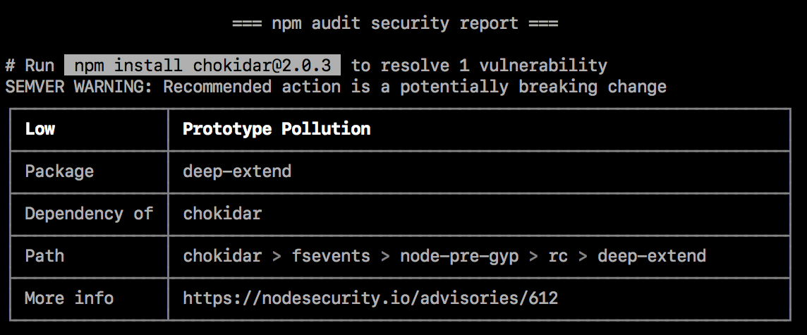 npm audit