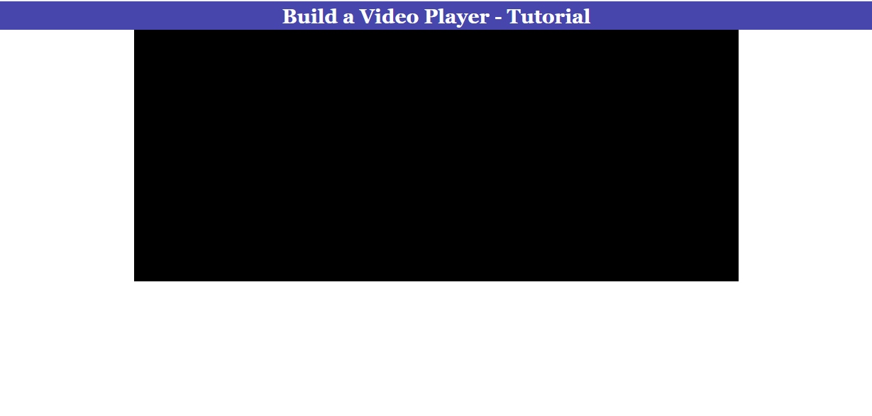 1 Video Blank
