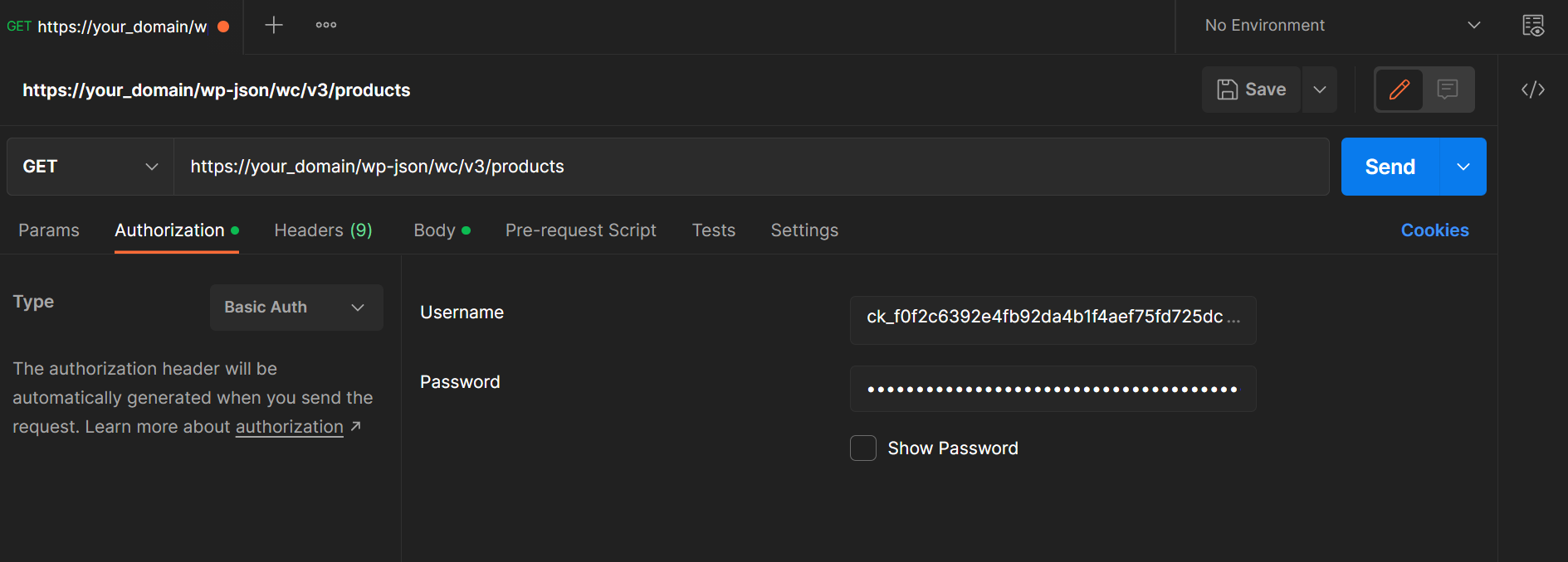 Postman Basic Auth