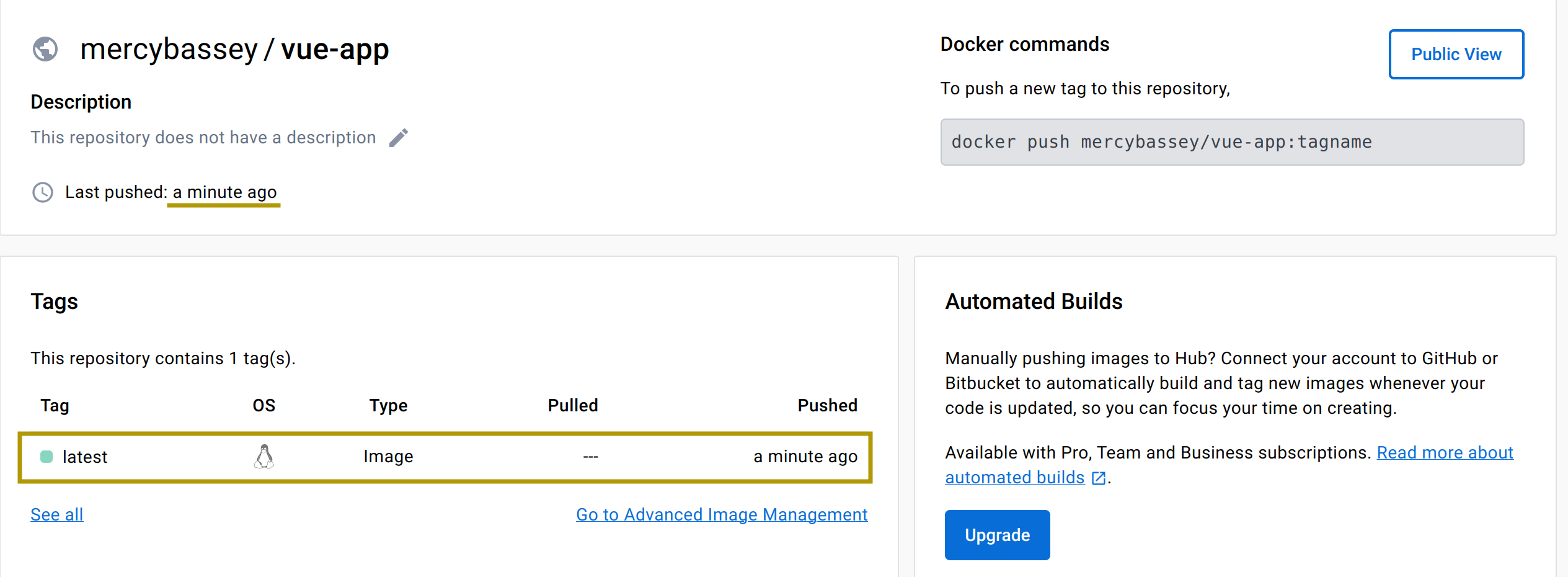 Viewing the Vue App docker image on docker hub
