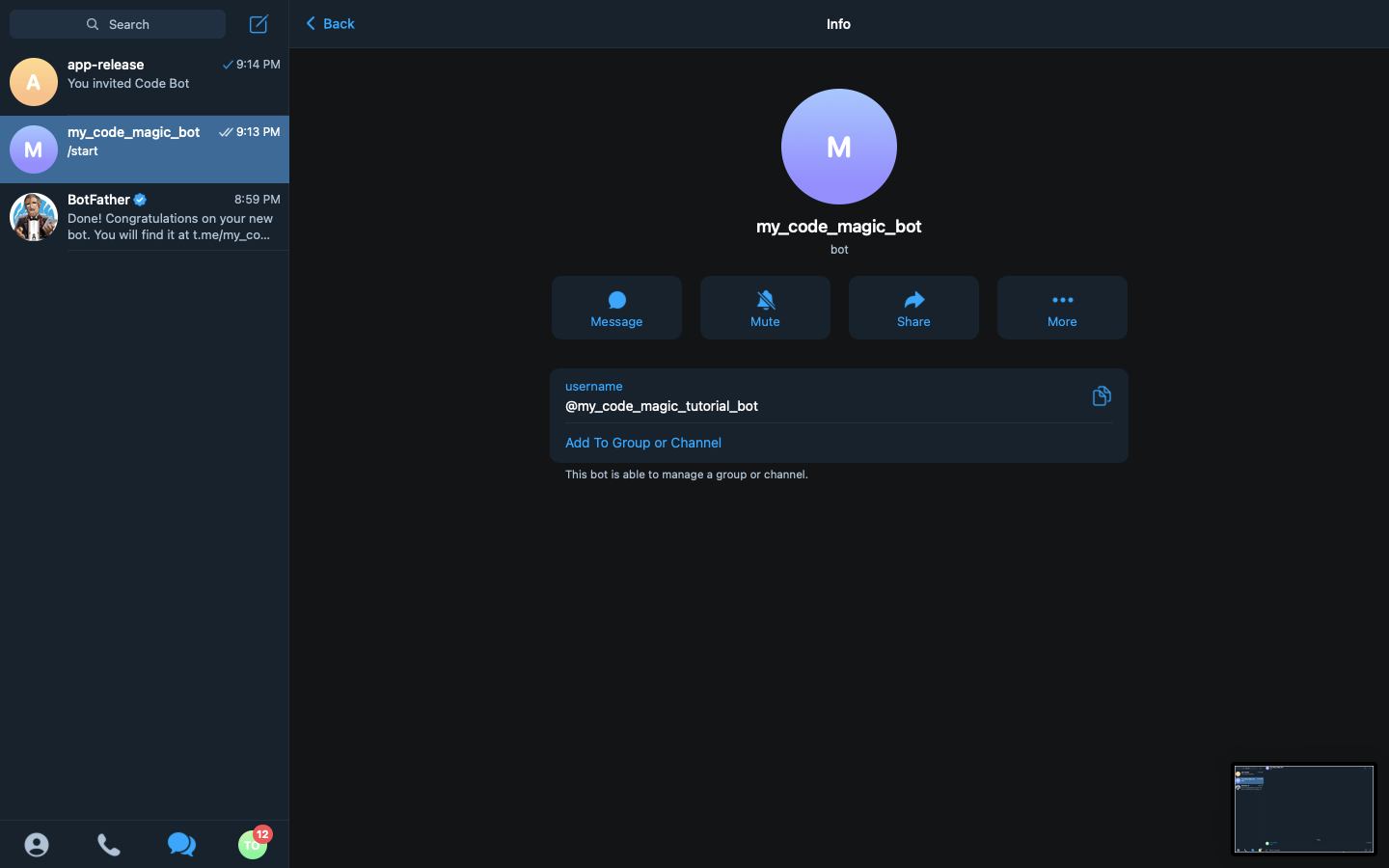 16 A screenshot showing the bot's information