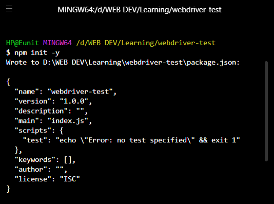 Create a package.json image