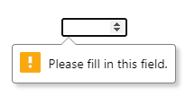 input required validation message