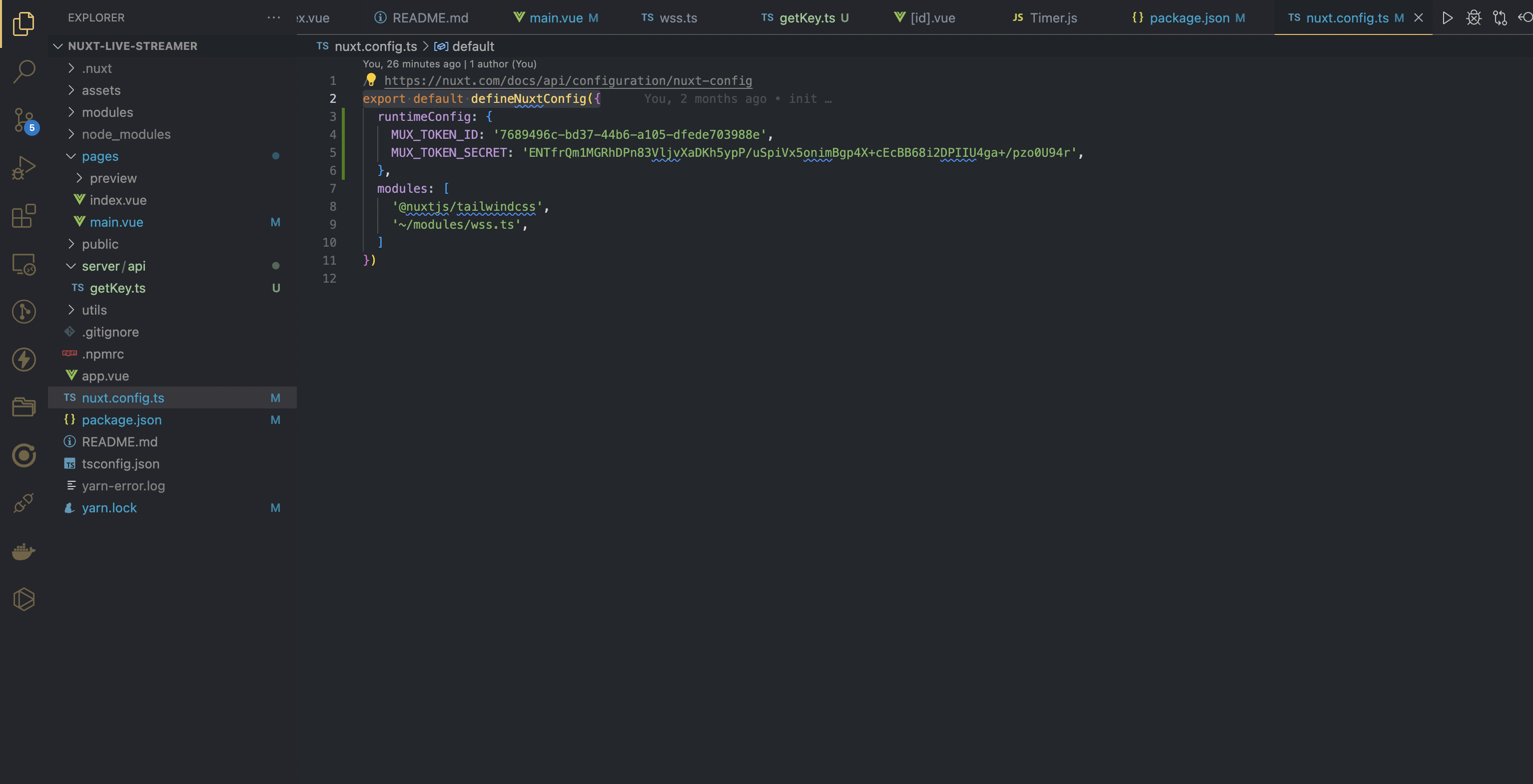 A screenshot showing the nuxtconfig after adding the snippet above.