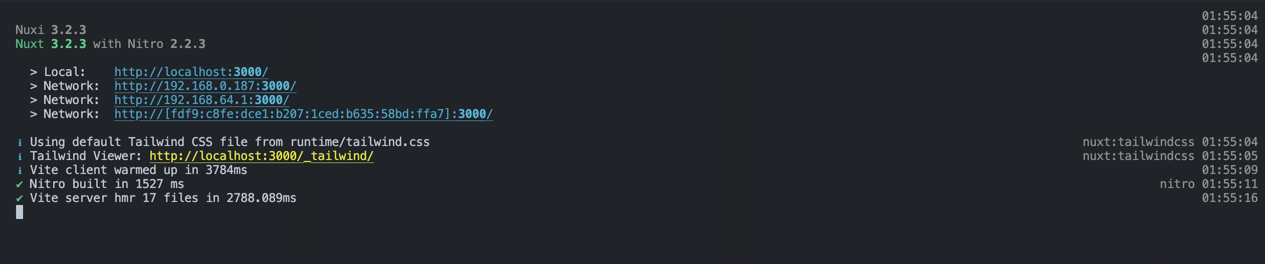 A screenshot showing that the nuxt server has started