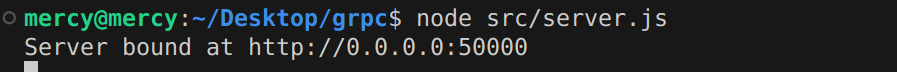 Running the server
