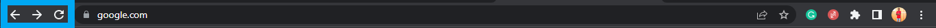 Navigation buttons in a browser