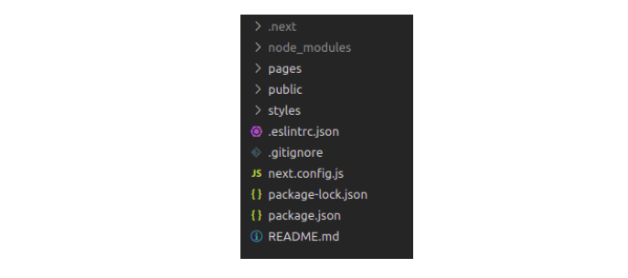 The initial Next directory